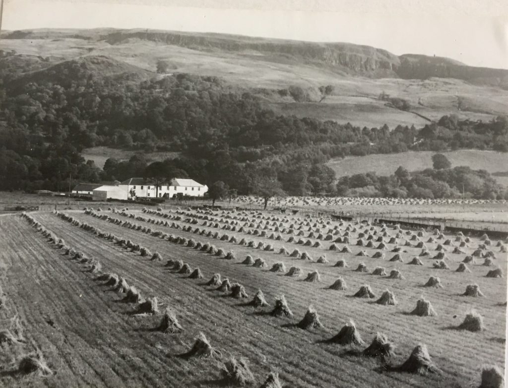 Bogside Farm Harvest, 1961